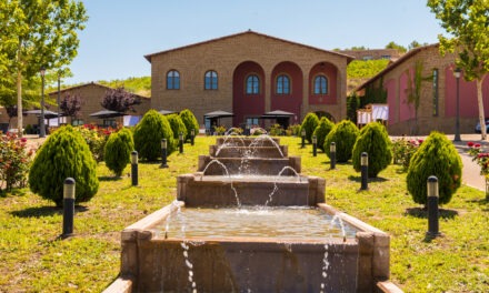 Bodegas Tierra de Cubas